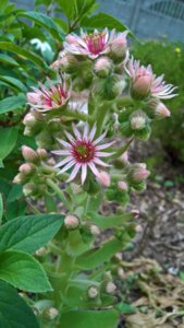 WP_20190624_10_49_37_Pro_LI.jpg