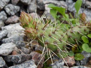 DSCN0377.JPG