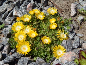 DSCN0533.JPG