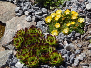 DSCN0541.JPG