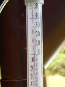DSCN0598.JPG