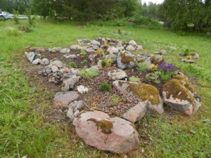 DSCN0493.JPG