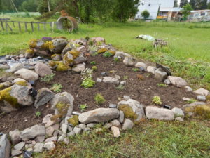DSCN0513.JPG