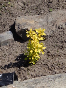 DSCN0560.JPG
