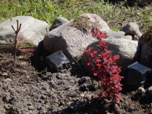 DSCN0561.JPG