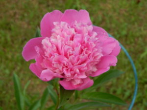 DSCN0815.JPG