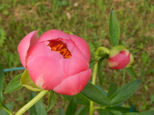 DSCN0818.JPG