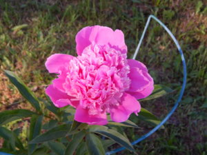 DSCN0939.JPG