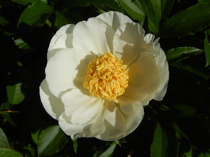 DSCN0969.JPG
