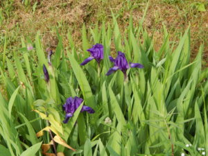 DSCN0629.JPG