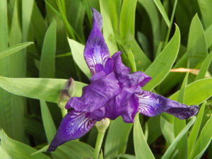 DSCN0630.JPG