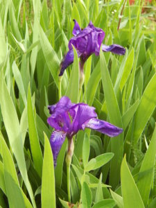 DSCN0632.JPG
