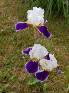 DSCN0788.JPG