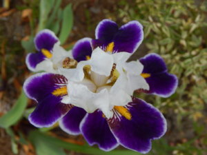 DSCN0789.JPG