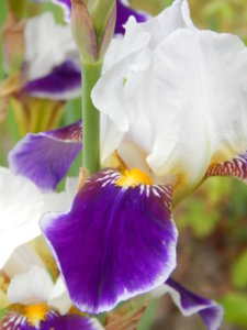 DSCN0790.JPG