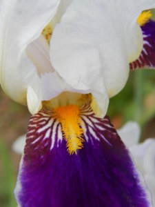 DSCN0791.JPG
