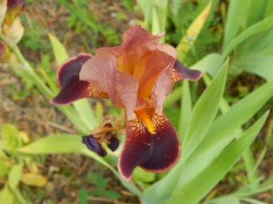 DSCN0807.JPG