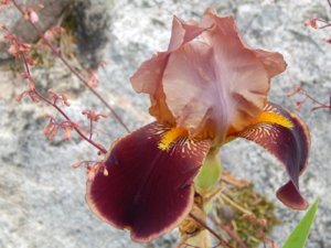 DSCN0808.JPG