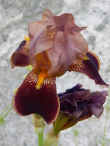 DSCN0813.JPG