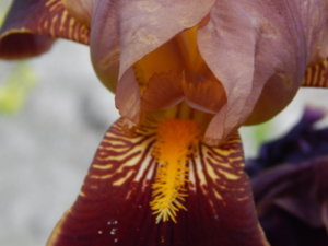 DSCN0814.JPG