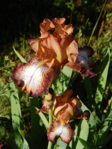 DSCN0851.JPG