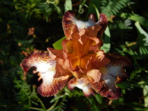 DSCN0852.JPG