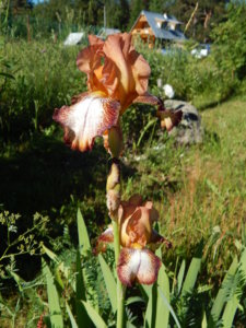 DSCN0854.JPG