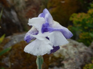 DSCN0705.JPG