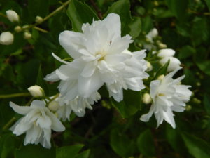 DSCN0636.JPG