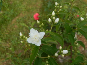 DSCN0637.JPG