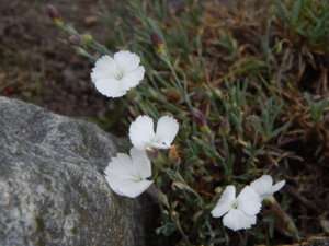 DSCN0701.JPG
