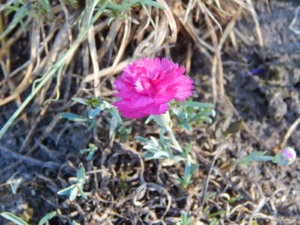DSCN0868.JPG