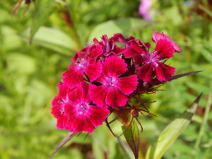 DSCN0612.JPG