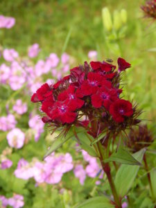 DSCN0614.JPG