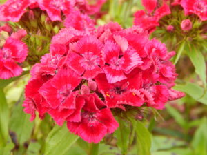 DSCN0663.JPG