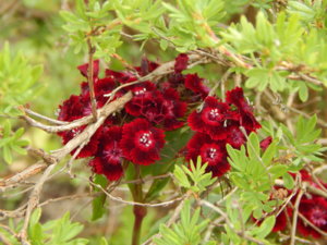 DSCN0723.JPG
