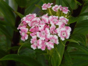 DSCN0761.JPG