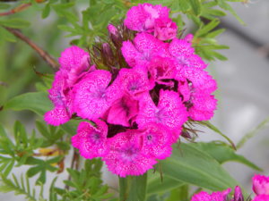 DSCN0765.JPG