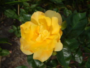 DSCN0609.JPG