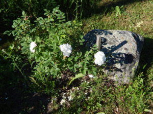 DSCN0856.JPG