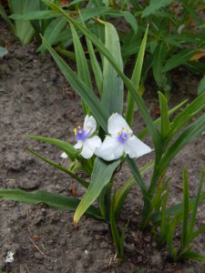 DSCN0660.JPG