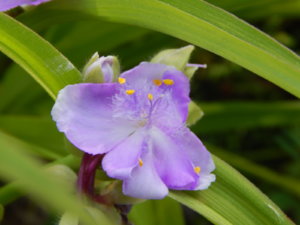 DSCN0810.JPG