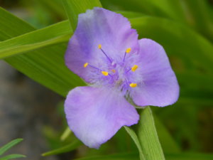 DSCN0812.JPG