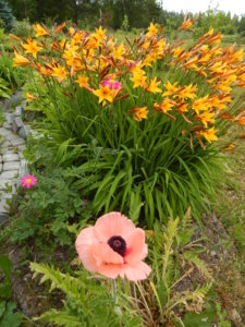 DSCN0722.JPG