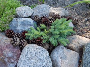 DSCN0900.JPG
