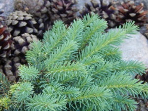 DSCN0901.JPG