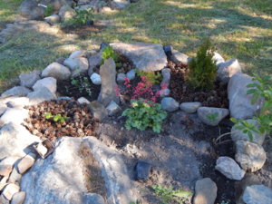 DSCN0889.JPG