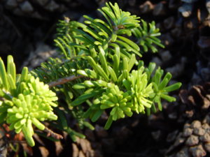 DSCN0893.JPG