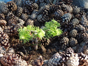 DSCN0894.JPG