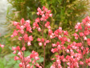 DSCN0673.JPG